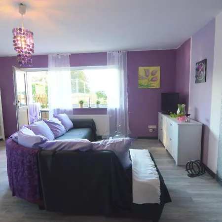 Apartment Simple In Falkenstadt Near Schlossinsel Museum Rodewisch